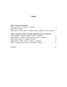 Contabilitatea mărfurilor în sistem en-detail - Pagina 1