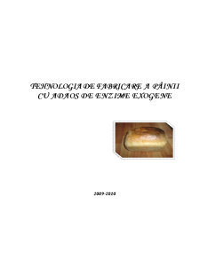 Tehnologia de Fabricare a Pâinii cu Adaos de Enzime Exogene - Pagina 1