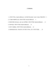 Tipologia Structurii Manageriale - Pagina 2