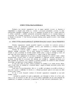 Tipologia Structurii Manageriale - Pagina 3