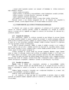Tipologia Structurii Manageriale - Pagina 4