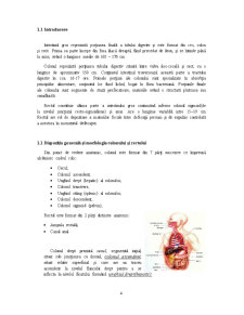 Anatomia Chirurgicala a Colonului și Rectului - Pagina 4