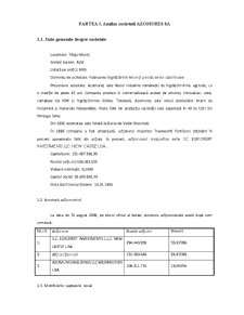 Analiza tehnică și fundamentală a societăților Azomures SA și Biofarm SA - Pagina 2