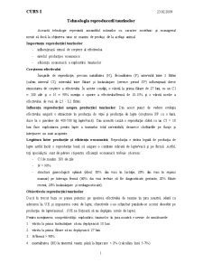 Cursuri Bovine 2 - Pagina 1