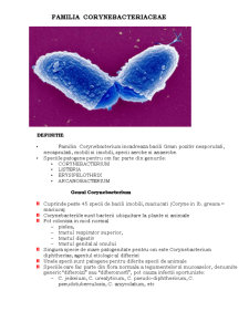 Corynebacterium - Pagina 1
