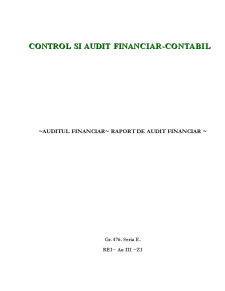 Auditul Financiar - Raport de Audit Financiar - Pagina 1