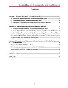 Clauze Obligatorii ale Contractului Individual de Muncă - Pagina 2