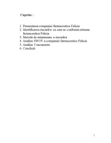 Analiza riscurilor rețelei de farmacii Felicia din Republica Moldova - Pagina 2