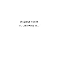 Misiunea de Audit Intern Privind Activitatea IT la SC Corsar Grup SRL - Pagina 2
