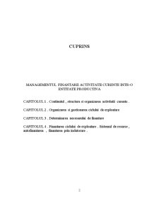 Managementul finanțării activității curente - Pagina 2