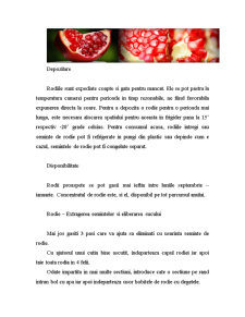 Fructul de Rodie - Pagina 5