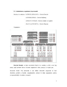 Plan de Afaceri - SC Carrefour România SA - Pagina 4