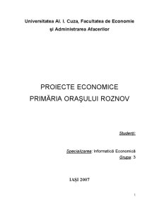Proiecte economice - primăria orașului Roznov - Pagina 1
