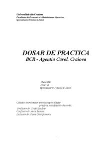 Dosar de practică - BCR - Agenția Carol, Craiova - Pagina 1