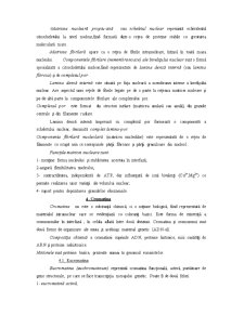 Nucleul - Pagina 4