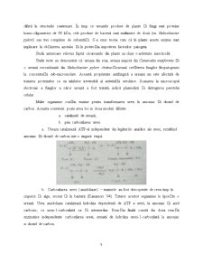 Ureaza - enzimologie - Pagina 5