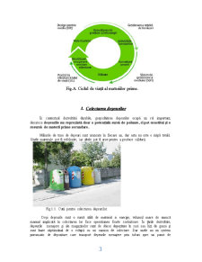 Colectarea, transportul, depozitarea, prelucrarea și recuperarea deșeurilor - Pagina 3