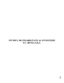Studiul de fezabilitate al investiției SC Benea SRL - Pagina 2
