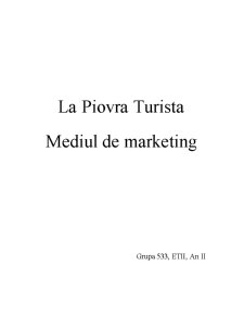 Mediul de marketing - agenția de turism La Piovra Turista - Pagina 1