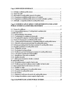 Auditul Public Intern în România - Pagina 1