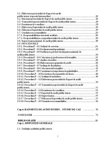 Auditul Public Intern în România - Pagina 2