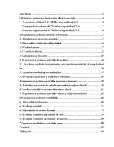 Raport de practică BC Moldova Agroindbank SA - Pagina 1