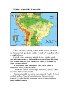Analiza indicatorilor de performanță turistică în regiunea geografică America de Sud - Pagina 4