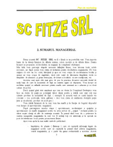 Plan de Marketing - SC Fitze SRL - Pagina 3