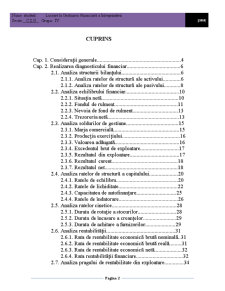 Analiza economico-financiară la SC Lumilia Com SRL - Pagina 2