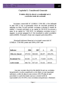 Analiza economico-financiară la SC Lumilia Com SRL - Pagina 4