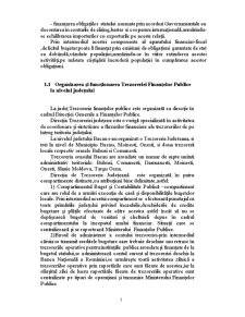 Execuția de casă a bugetelor publice pe exemplul Trezoreriei Bacău - Pagina 5