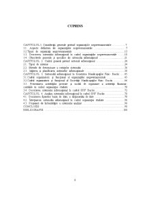 Particularități ale Sistemelor Informaționale în Domeniul Organizațiilor Neguvernamentale - Pagina 2