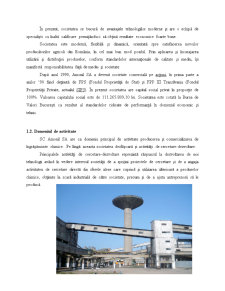 Reflectarea Aspectelor Financiare ale Guvernantei Corporatiste la SC Amonil SA Slobozia - Pagina 4