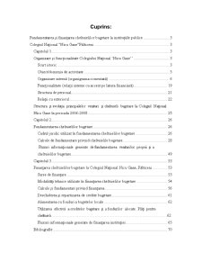 Fundamentarea și finanțarea cheltuielilor bugetare la instituțiile publice - Colegiul Național Nicu Gane, Fălticeni - Pagina 2