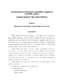 Fundamentarea și finanțarea cheltuielilor bugetare la instituțiile publice - Colegiul Național Nicu Gane, Fălticeni - Pagina 3