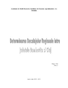 Determinarea decalajelor între Județele Cluj și Dâmbovița - Pagina 1