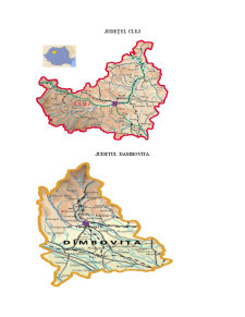 Determinarea decalajelor între Județele Cluj și Dâmbovița - Pagina 2
