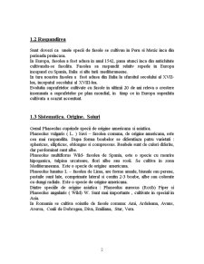 Fasolea - Pagina 2