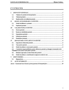 Patenta de Întreprinzător - Pagina 2