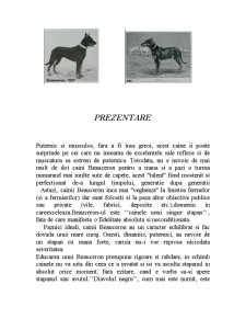 Ciobănesc francez - Pagina 5