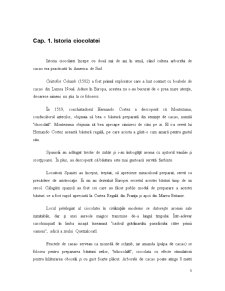 Procesul Tehnologic de Fabricare al Ciocolatei - Pagina 5