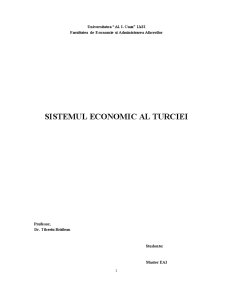 Sistemul Economic al Turciei - Pagina 1