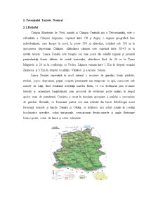 Sisteme teritoriale - potențialul turistic al Județului Teleorman - Pagina 4