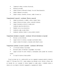 Analiza SWOT la Societatea Comerciala Moroșanu Prest SRL - Pagina 5