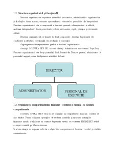 Proiect de practică la contabilitate și informatică de gestiune - societatea Sfera Serv - Pagina 3