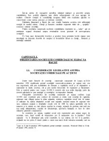 Contabilitate la SC Elbac SA Bacău - Pagina 3