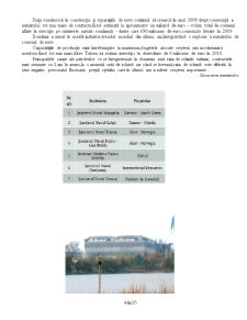 Analiza Activității Șantierului Naval Aker Tulcea SA pentru Implementarea unui Sistem de Managemet de Mediu - Pagina 5