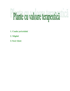 Plante Terapeutice - Pagina 1