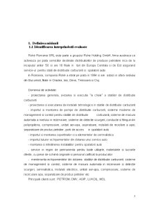 Raport de evaluare a întreprinderii SC Rohe România SRL - Pagina 3