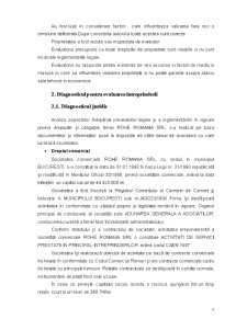 Raport de evaluare a întreprinderii SC Rohe România SRL - Pagina 5